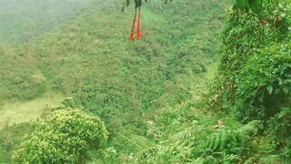 Колумбийки անտառում սեքս միմյանց լեզու և ֆ օտար դիմաց ֆինանսական աջակցություն: